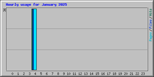 Hourly usage for January 2025