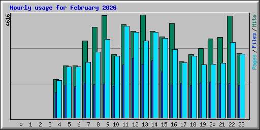 Hourly usage for February 2026